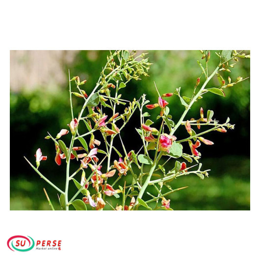 عرق خارشتر طراوت - 1 لیتر